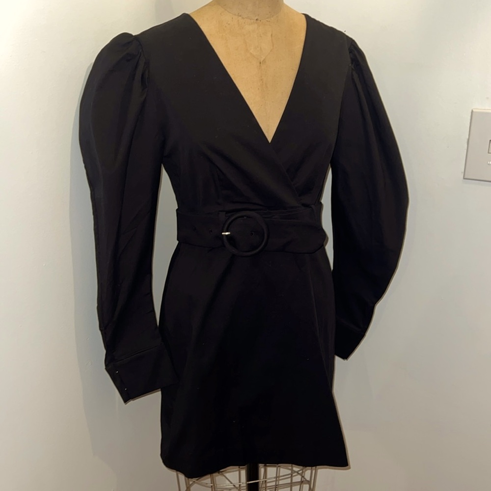& Other Stories 3/4 Length Longsleeve Puff Shoulders V-Neck Belted Dress 8 NWT